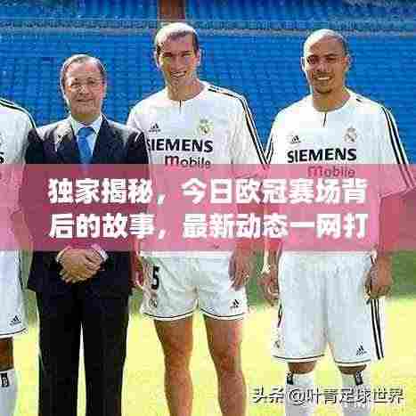 独家揭秘，今日欧冠赛场背后的故事，最新动态一网打尽！