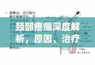 颈部疼痛深度解析，原因、治疗与预防（百度收录标准）