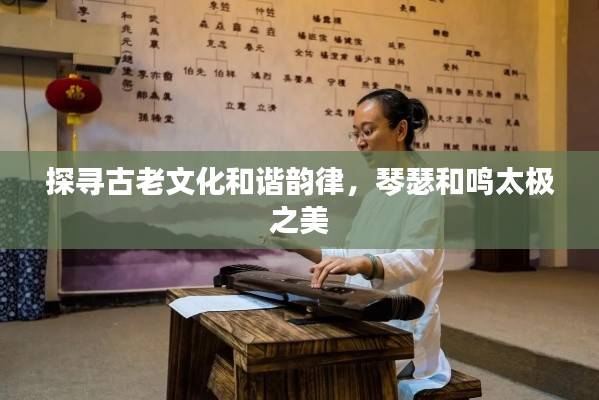 探寻古老文化和谐韵律，琴瑟和鸣太极之美
