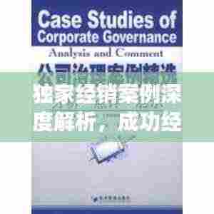 独家经销案例深度解析,成功经验与启示