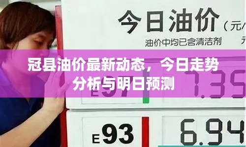 冠县油价最新动态,今日走势分析与明日预测