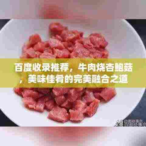 百度收录推荐,牛肉烧杏鲍菇,美味佳肴的完美融合之道