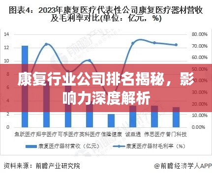 康复行业公司排名揭秘，影响力深度解析