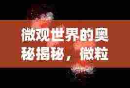 微观世界的奥秘揭秘，微粒不停运动之旅探索