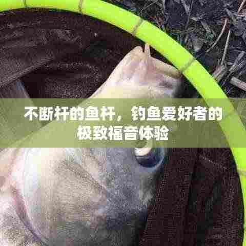 接连不断 第2页