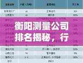 衡阳测量公司排名揭秘,行业深度分析与评估