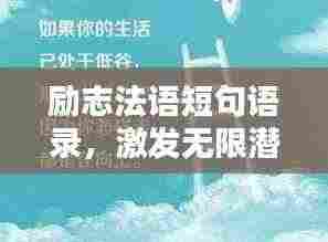 励志法语短句语录,激发无限潜能!