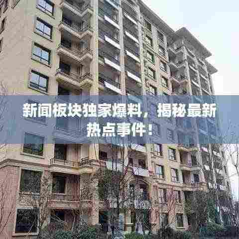 新闻板块独家爆料,揭秘最新热点事件!