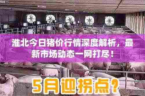 淮北今日猪价行情深度解析,最新市场动态一网打尽!