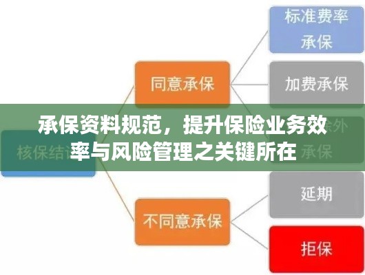 承保资料规范,提升保险业务效率与风险管理之关键所在