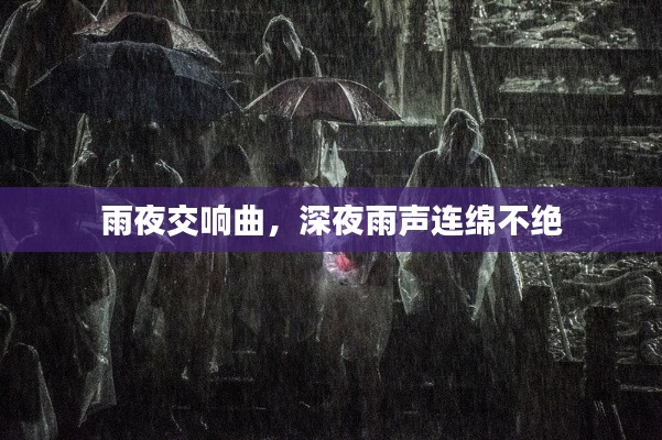 雨夜交响曲,深夜雨声连绵不绝