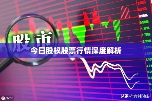 今日股权股票行情深度解析