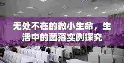 无处不在的微小生命,生活中的菌落实例探究