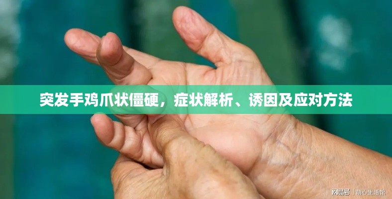 突发手鸡爪状僵硬,症状解析、诱因及应对方法