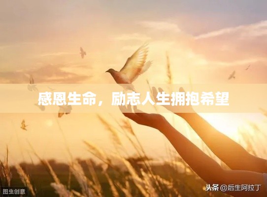 感恩生命，励志人生拥抱希望