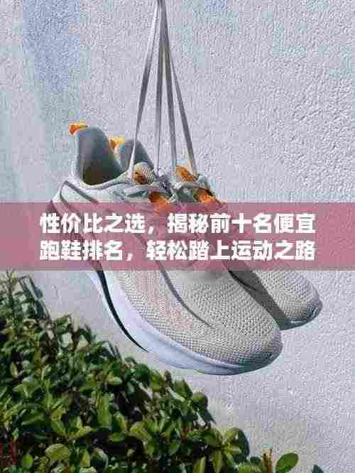 手不释卷 第3页