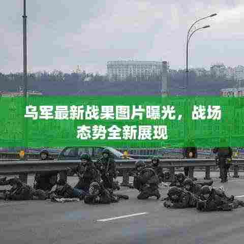乌军最新战果图片曝光,战场态势全新展现