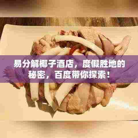 易分解椰子酒店，度假胜地的秘密，百度带你探索！