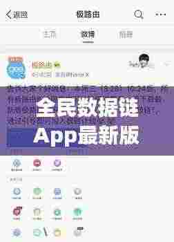 全民数据链App最新版下载，数字时代的极致体验探索