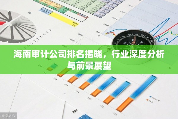 海南审计公司排名揭晓,行业深度分析与前景展望