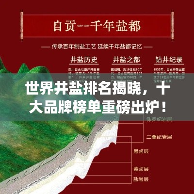 世界井盐排名揭晓,十大品牌榜单重磅出炉!