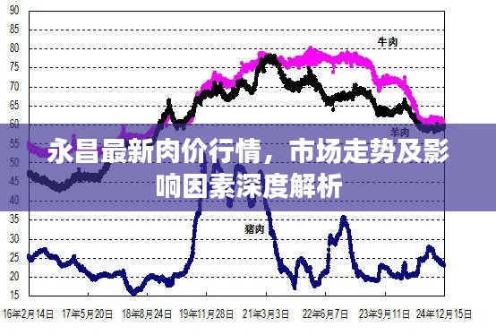 永昌最新肉价行情,市场走势及影响因素深度解析