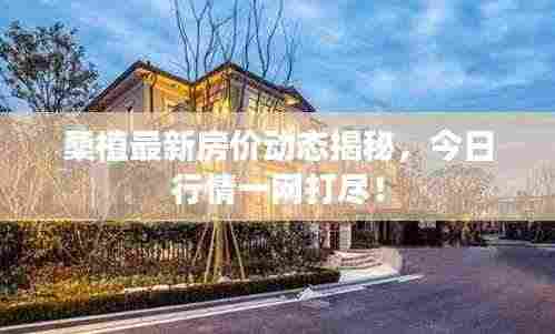 桑植最新房价动态揭秘,今日行情一网打尽!