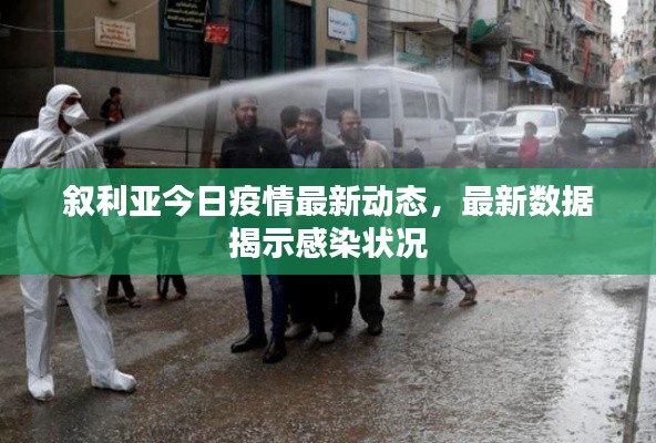 叙利亚今日疫情最新动态,最新数据揭示感染状况