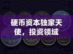 硬币资本独家天使，投资领域的独特魅力与力量