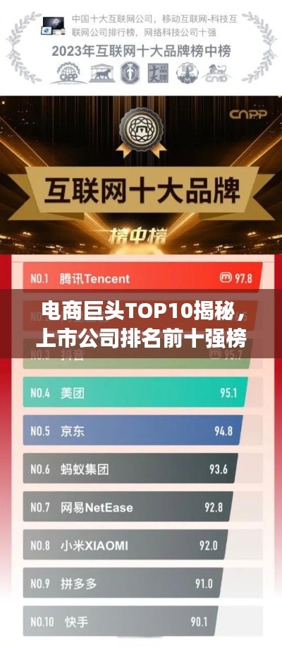 电商巨头TOP10揭秘,上市公司排名前十强榜单重磅出炉!
