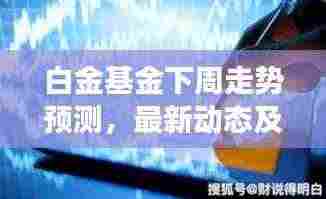 白金基金下周走势预测,最新动态及深度解读