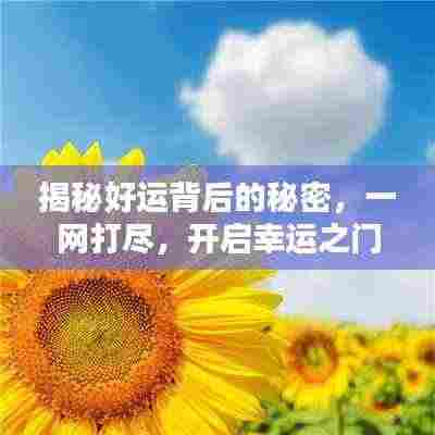 揭秘好运背后的秘密,一网打尽,开启幸运之门!