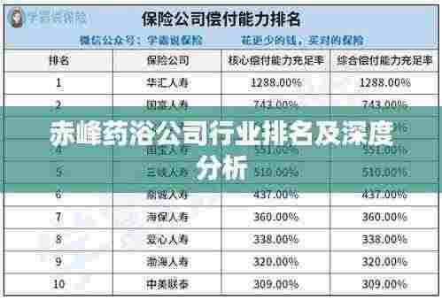 赤峰药浴公司行业排名及深度分析
