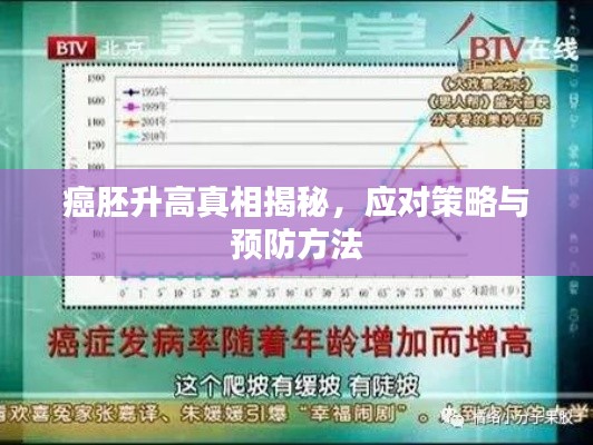 癌胚升高真相揭秘，应对策略与预防方法