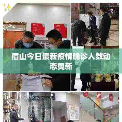 眉山今日最新疫情确诊人数动态更新