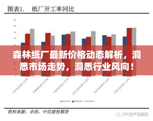 森林纸厂最新价格动态解析，洞悉市场走势，洞悉行业风向！