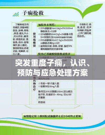 突发重度子痫，认识、预防与应急处理方案