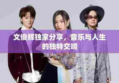 文俊辉独家分享,音乐与人生的独特交响